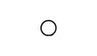 128825 ORING