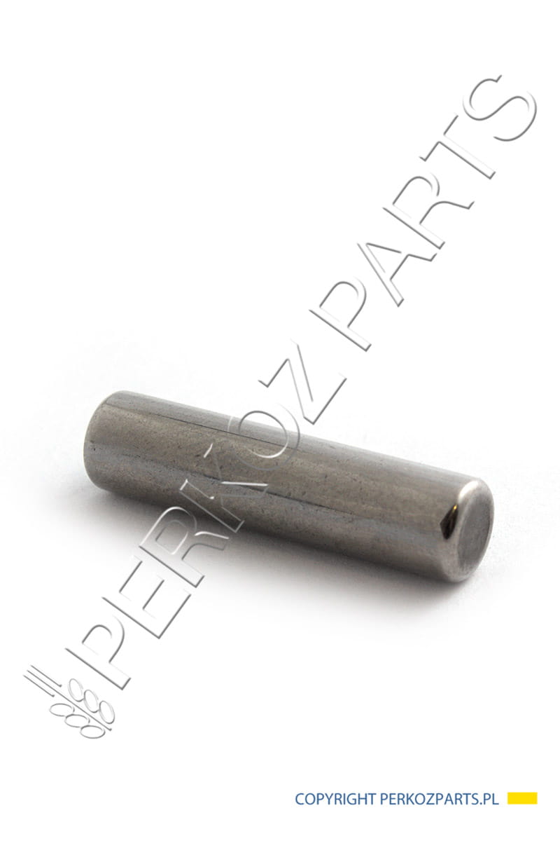 Игольчатый подшипник NEW HOLLAND CASE CNH 76045033 - 760450933 - 76045032