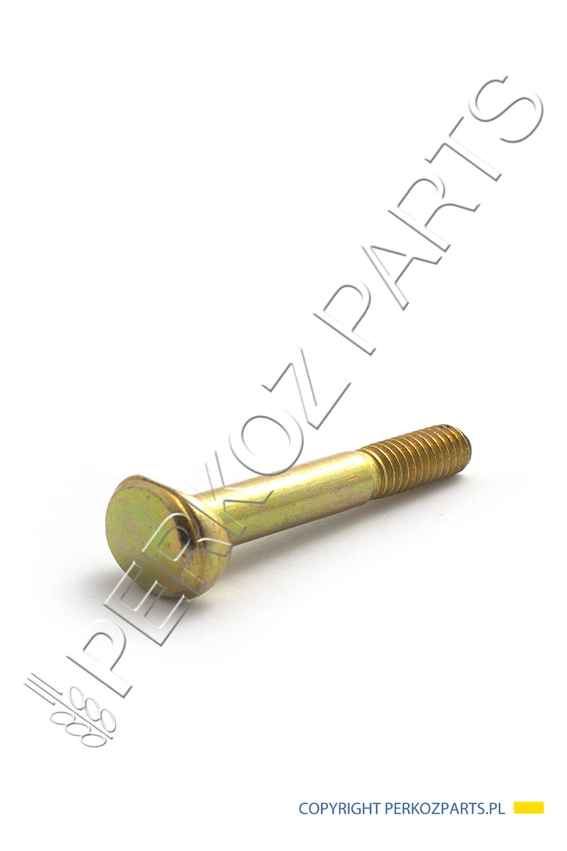 Чехол ŚRUBA NEW HOLLAND CASE CNH 87642989 - 80130891 - 130891
