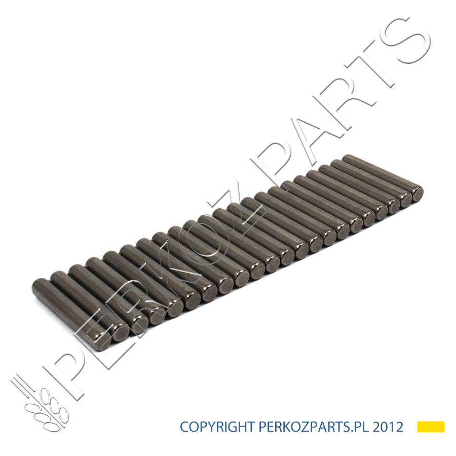 Игольчатый роликовый подшипник планетарного колеса New Holland CASE 5145492