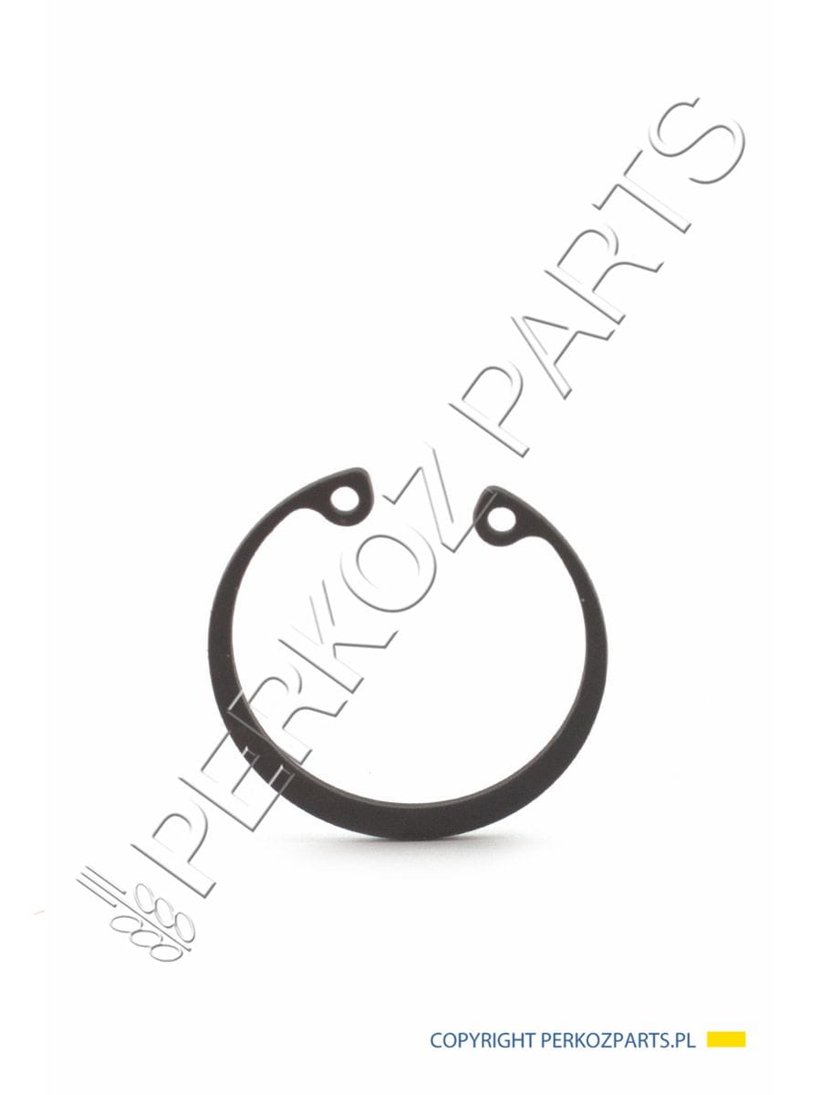 Защитное кольцо New Holland Case CNH 11058876 - 80301644 - 301644