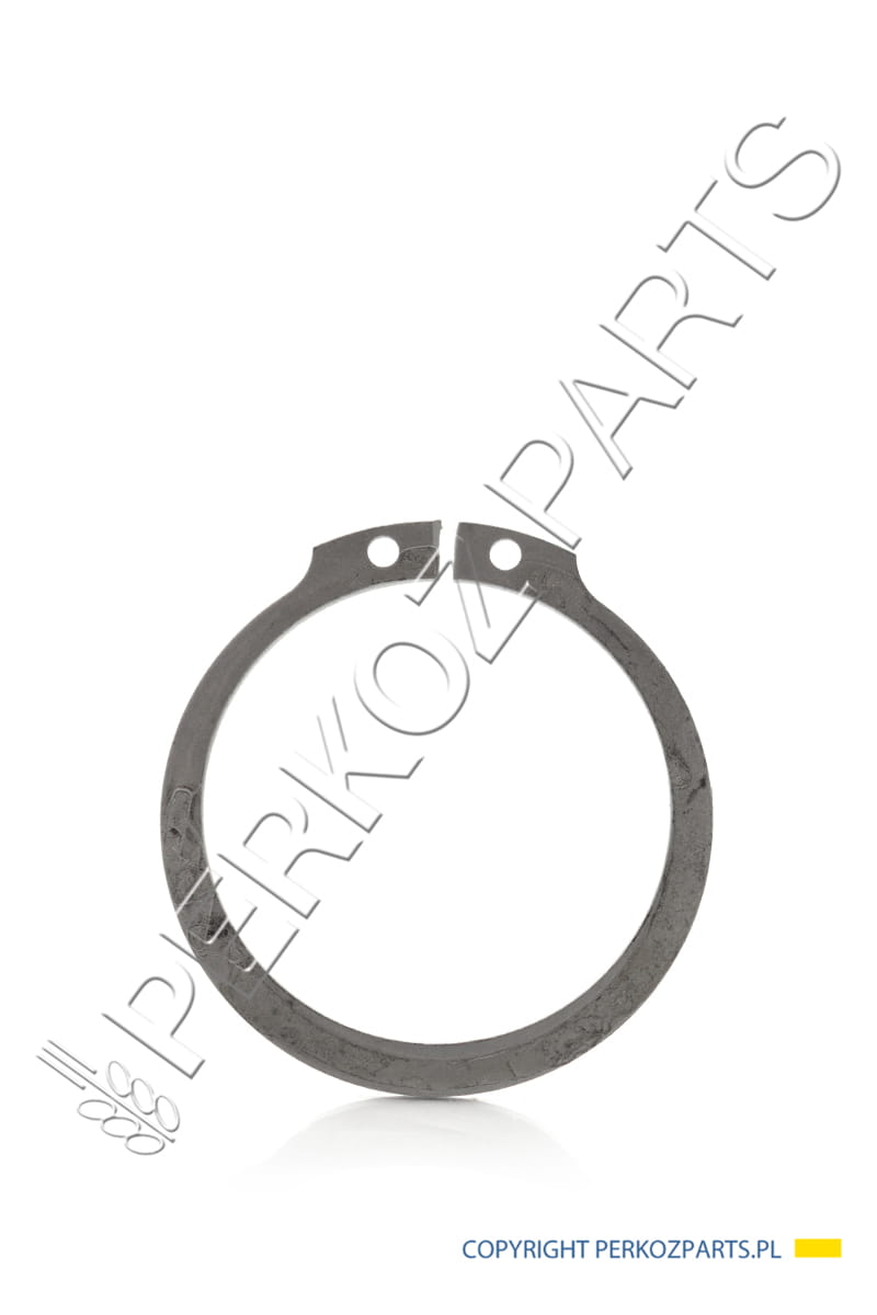 Защитное кольцо New Holland Case CNH 11069071 - 920091300 - 11069074